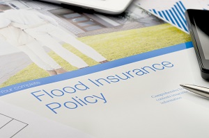 Understanding Flood Insurance Costs